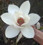 unnamed (1)34